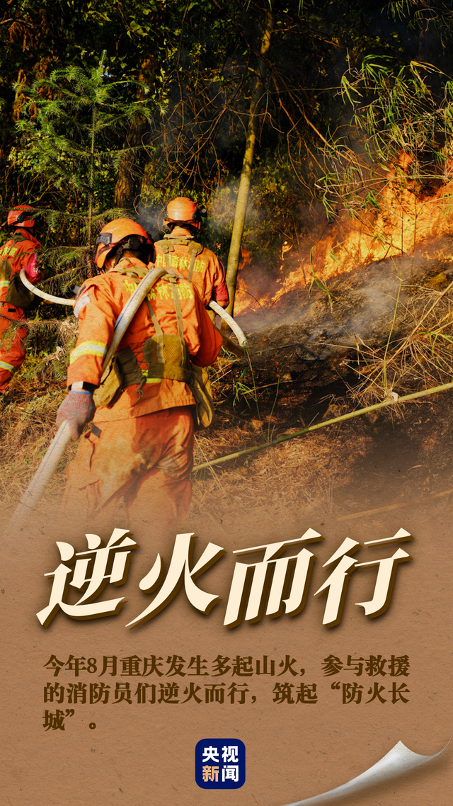 今天是全国消防日 一组图致敬逆行英雄