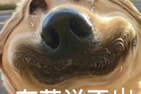 扫把的“进化史”，越来越实用！