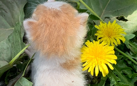 毛巾什么材质的最好？