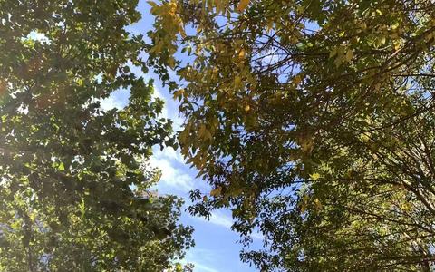 洗面奶过期了还可以使用吗？