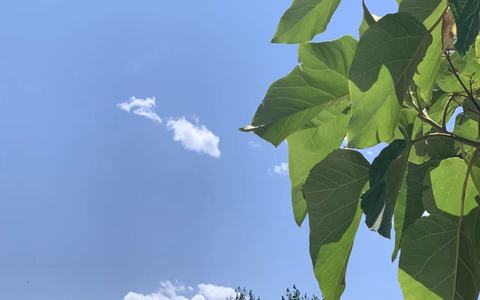 聚酯纤维对人体有害吗？