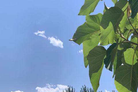 聚酯纤维对人体有害吗？