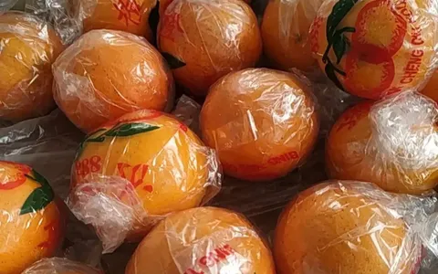 【5斤只要16元💥】正宗塔罗科血橙！🍊超多维生素和花青素！！😋