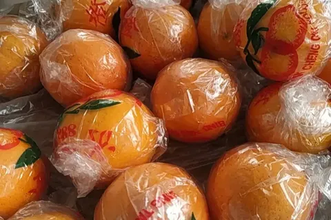 【5斤只要16元💥】正宗塔罗科血橙！🍊超多维生素和花青素！！😋