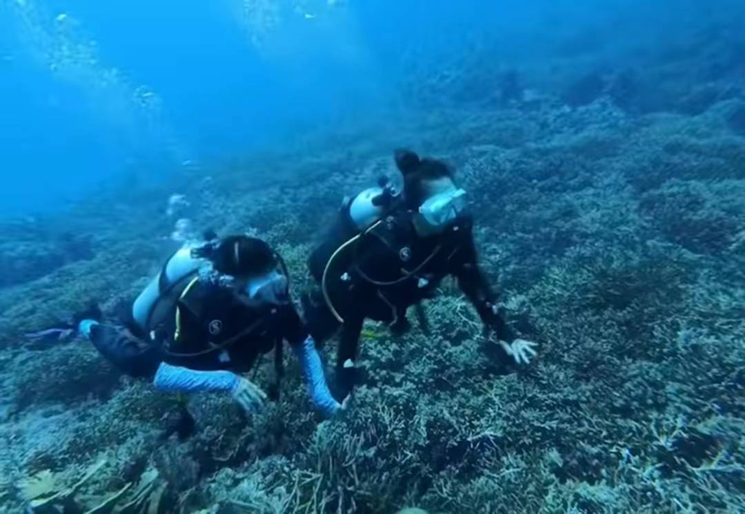 从米兰时装周炸场到阿那亚带娃!章子怡46岁穿搭翻车,醒醒抱胸气质比妈还酷