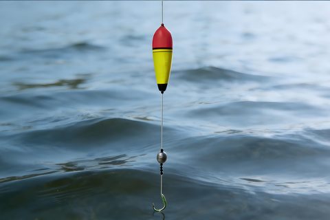 🎣 新手老手都看过来！这些鱼漂让你爆护到手软！🌟