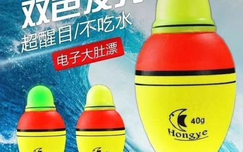 🎣双色发光电子大肚漂｜夜钓大物神器，远投百米也清晰✨
